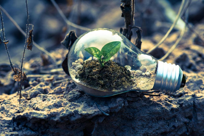 How ecologists are addressing global warming